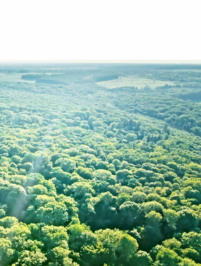 Rapport sur le développement durable